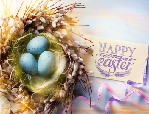 Happy Easter From Kitchener Dentist Sherwood Dental